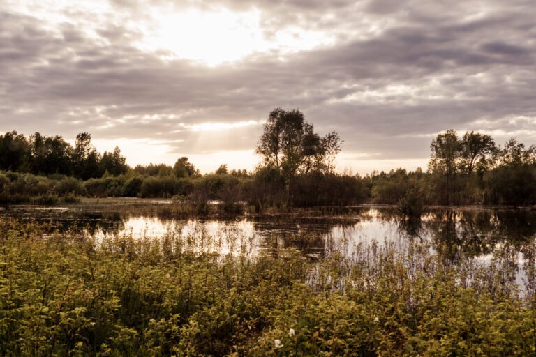 Parc Finlandais